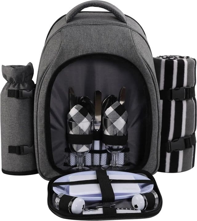 https://res.cloudinary.com/dtaiqpn0c/f_auto,c_limit,w_640,q_80/0407953_apollo-walker-picnic-backpack-bag-for-2-person-with-cooler-compartment-detachable-bottlewine-holder-.webp