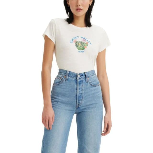 https://res.cloudinary.com/dtaiqpn0c/f_auto,c_limit,w_640,q_80/0846375_levis-womens-graphic-ringer-mini-tee-small-new-sunset-valley-cloud-dancer.webp