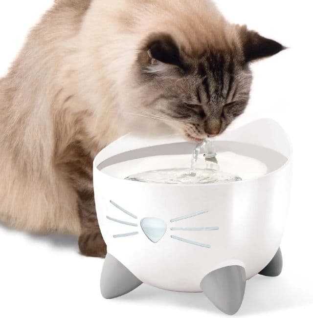 https://res.cloudinary.com/dtaiqpn0c/f_auto,c_limit,w_640,q_80/1182021_catit-pixi-drinking-fountain-cat-water-fountain-with-triple-filter-and-ergonomic-drinking-options-st.webp